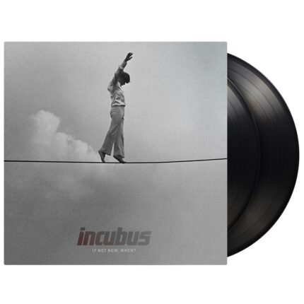 Incubus - If Not Now, When?